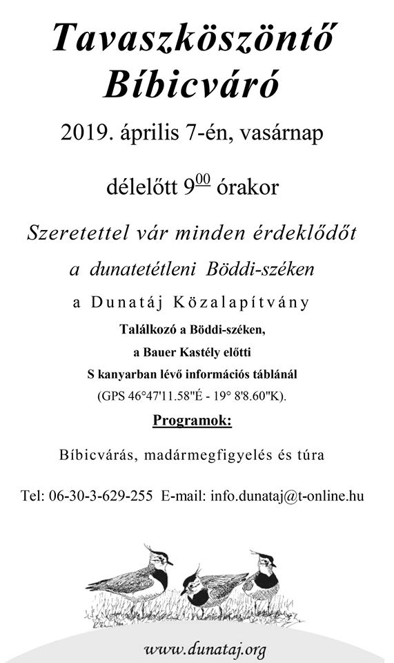 Tavaszköszöntő Bíbicváró